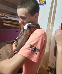 Speedy — Farm Kid at Providence Pastures