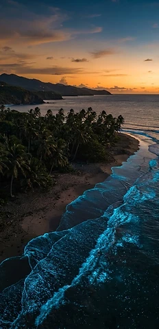 Playas y Bahía Bioluminiscente