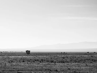 A vast quiet desert plain beneath a pale, open sky