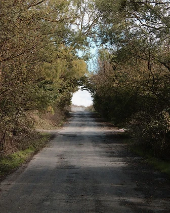 A narrow country road stretching toward an open horizon