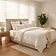 Mattress Cleaning