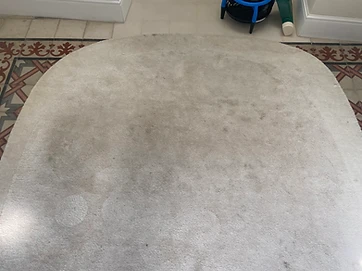Before — Pure Comfort Cleaning
