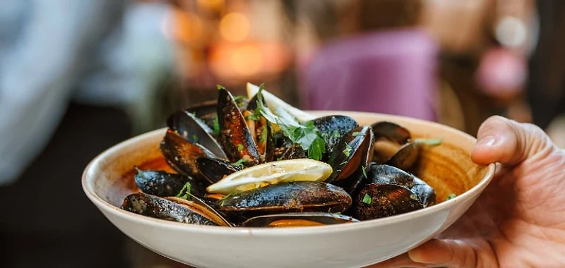 Seafood Experience