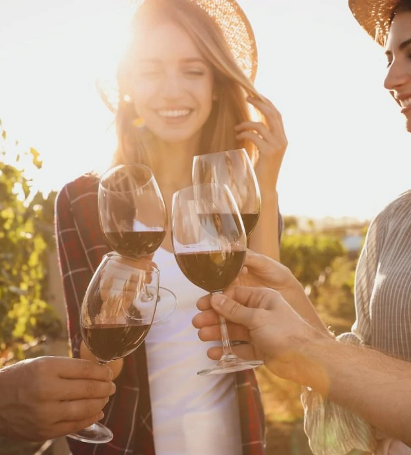 Friends toasting with wine glasses in a sunlit vineyard