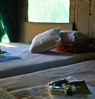 Twin-bedded canvas tents, prepared for arrival