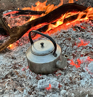 Coffee the bushveld way: a kettle on the coals