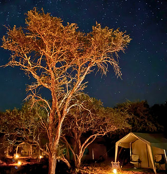 The camp beneath a sky full of stars
