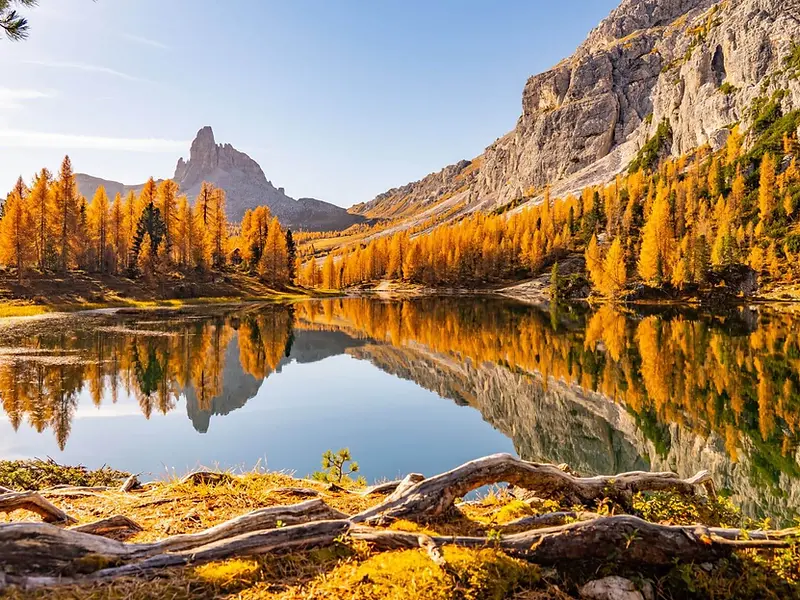 Herbstlicher Bergsee mit Spiegelung, goldenen Lärchen und schroffen Gipfeln