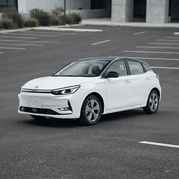 Dong Feng Box 42.3 kWh