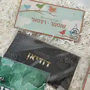 צילום מרהיב של מגוון שלטים מעוצבים מבית סטודיו שלט לדלת, המונחים על מצע של נייר גרוס לבן. השלטים כוללים שלט לדלת הבית בסגנון איור עדין עם ציפורים צבעוניות וטקסט 'הבית של משפחת שוסטר-רפטארי', שלט מודרני ויוקרתי בצבע שחור עם נקודות מוזהבות והכיתוב 'משפחת דודיאן' בכתב זהב בולט, ושלט נוסף בגווני ירוק ואפקט שיש. אלו שלטים אישיים המציגים את אמנות עיצוב שלטים של הסטודיו, המתאימים כשלט לכניסה לבית, כשלט לבית או כפתרון עיצובי לכל חלל שרוצים לשדרג. בין אם מדובר בשלט עץ או בשילוב של חומרים איכותיים, כל שלט מעוצב נותן מגע אישי ייחודי. שלטים מסוג זה הם בחירה מושלמת עבור מי שמחפש שלט לדלת מעוצב, שלט למשרד או שלט לחדר ילדים בהתאמה אישית.