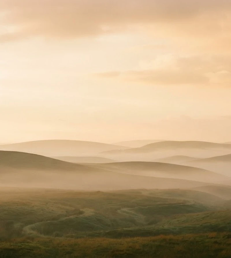 A peaceful misted valley at golden hour