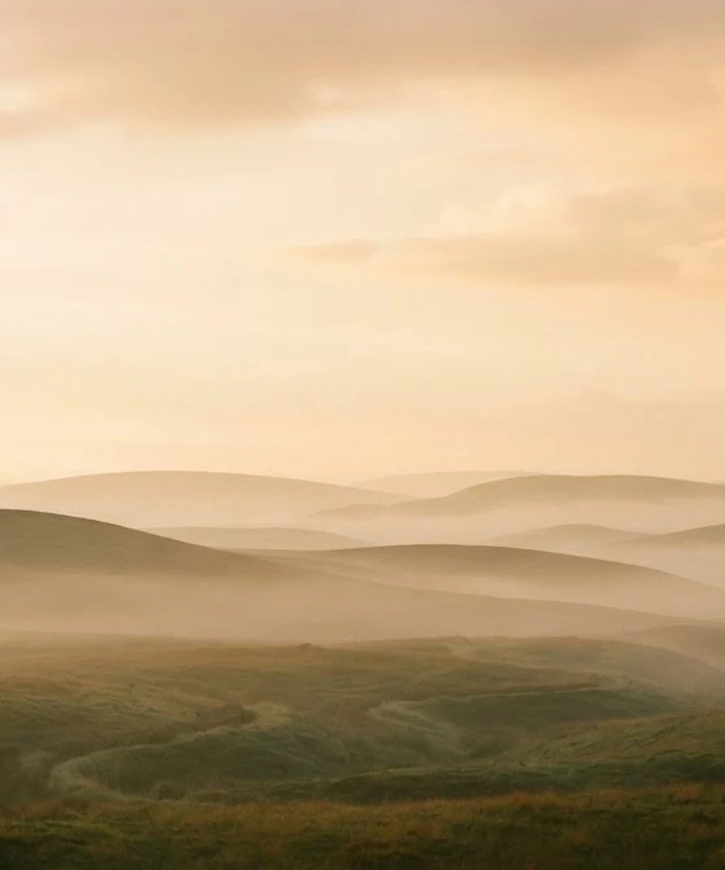 A peaceful misted valley at golden hour