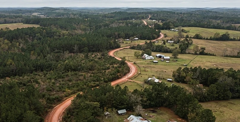 Red clay county road through West Alabama pine country