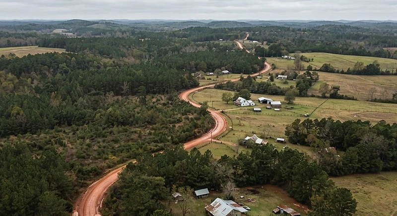 Red clay county road through West Alabama pine country