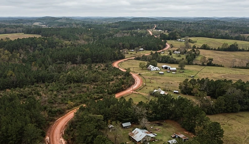 Red clay county road through West Alabama pine country