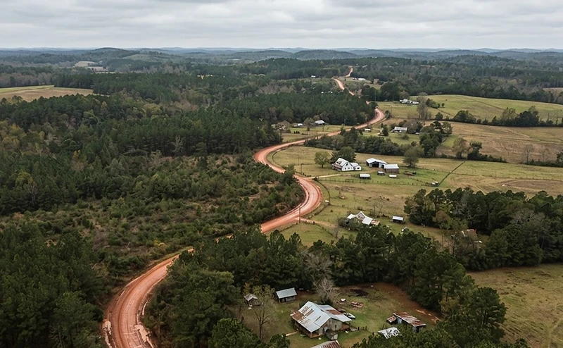 Red clay county road through West Alabama pine country
