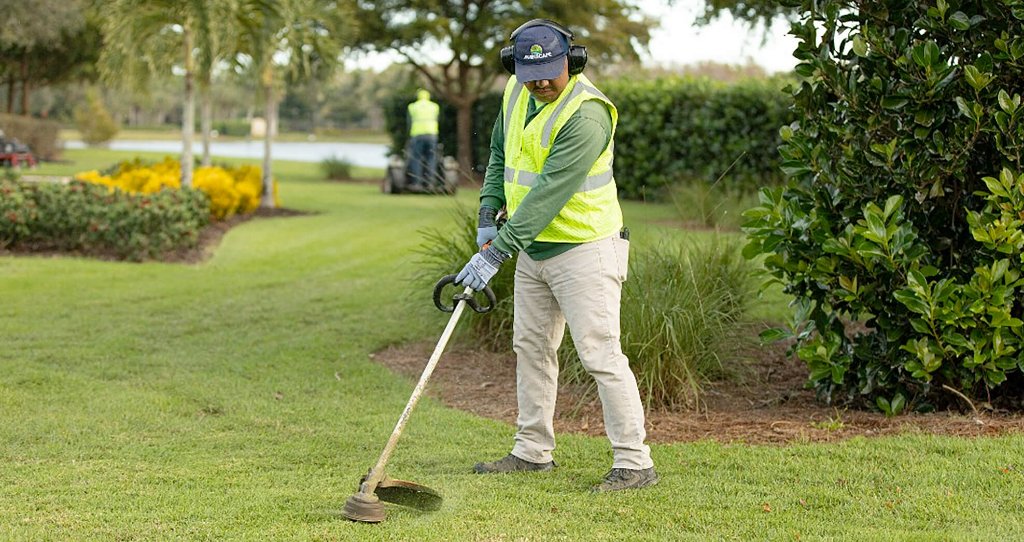Landscaping & Property Cleanups