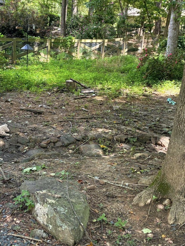 Before