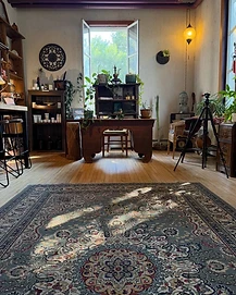 SOHA Studio antique desk with plants and a patterned rug