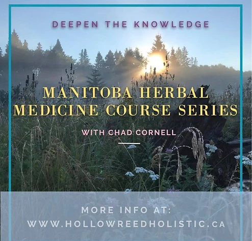Manitoba Herbal Medicine Course Series with Chad Cornell