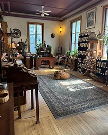 SOHA Studio reading nook with a dog resting on an antique rug