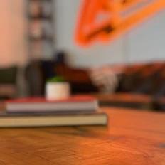 Coffee table with succulent, books, and glowing neon FREE sign