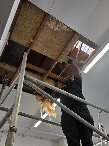 Ceiling Void Survey