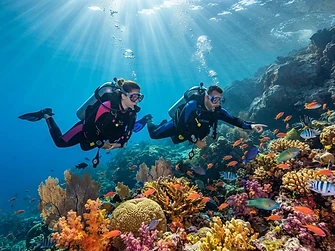 Reef dive trip