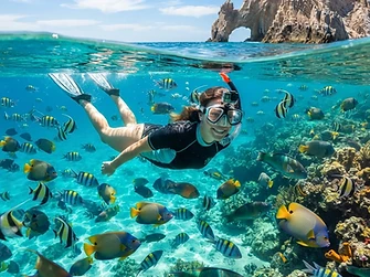 Sea lion snorkel