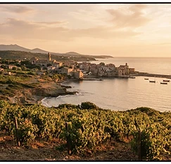 Mediterranean coastline near Narbonne