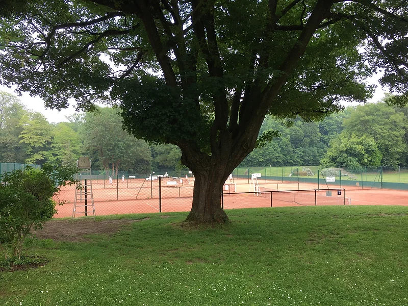 Onyva, Courts and Corks — traveler photo 12