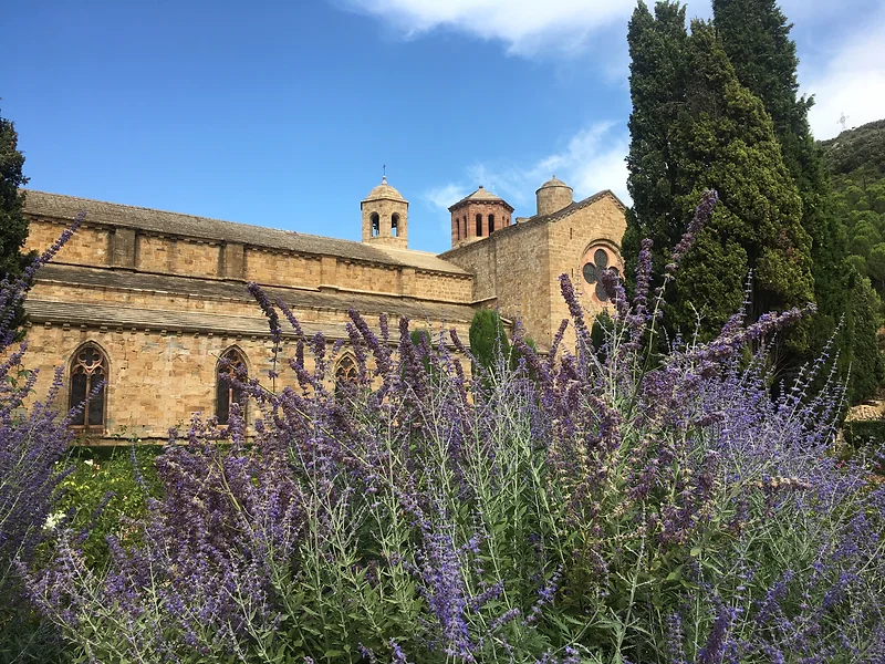Onyva, Courts and Corks — traveler photo 36