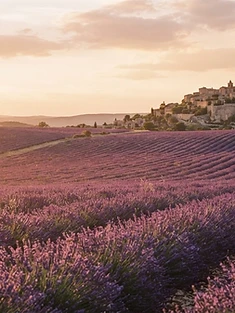 Provençal Bastide