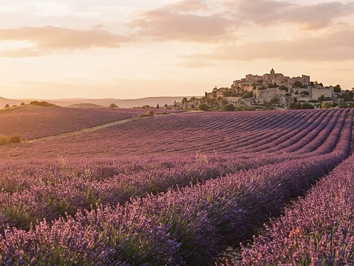 Provence Experience gallery image 1