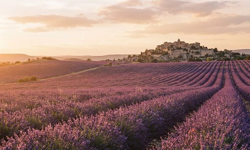 Provence Experience — Provence, France