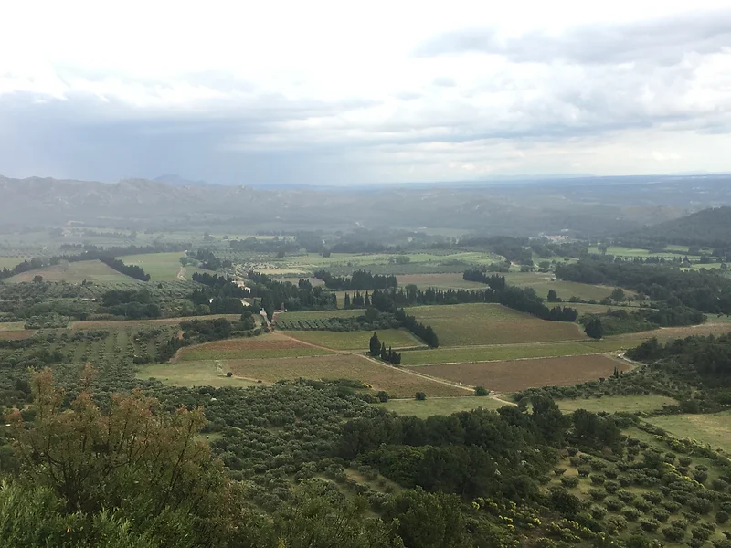Onyva, Courts and Corks — traveler photo 59