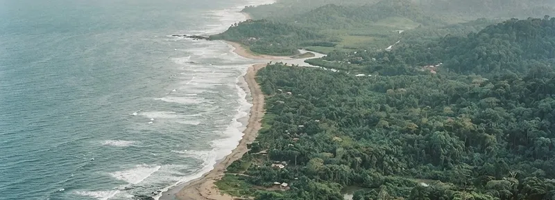 Regional section