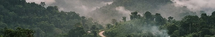 Grand Gedeh County