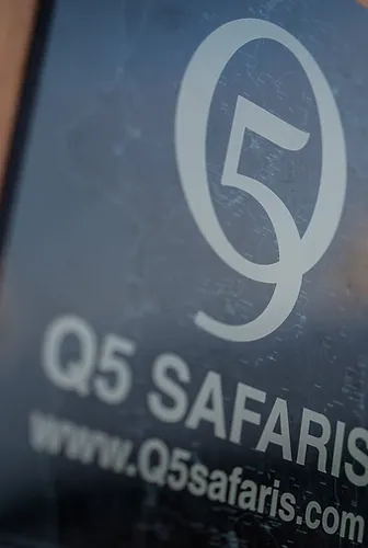 Q5 Safaris