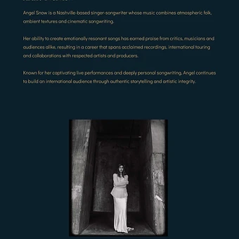 Artist overview