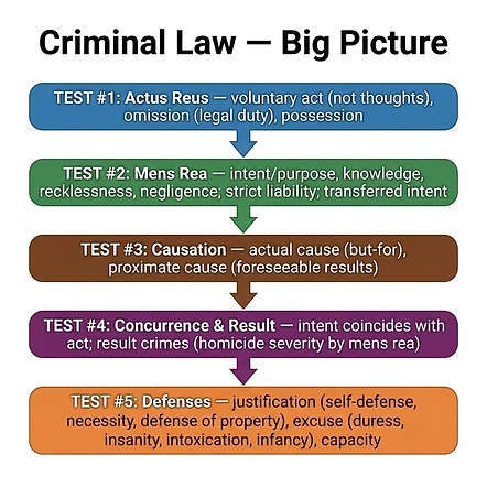 Criminal Law Big Picture flowchart