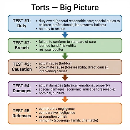 Torts Big Picture flowchart