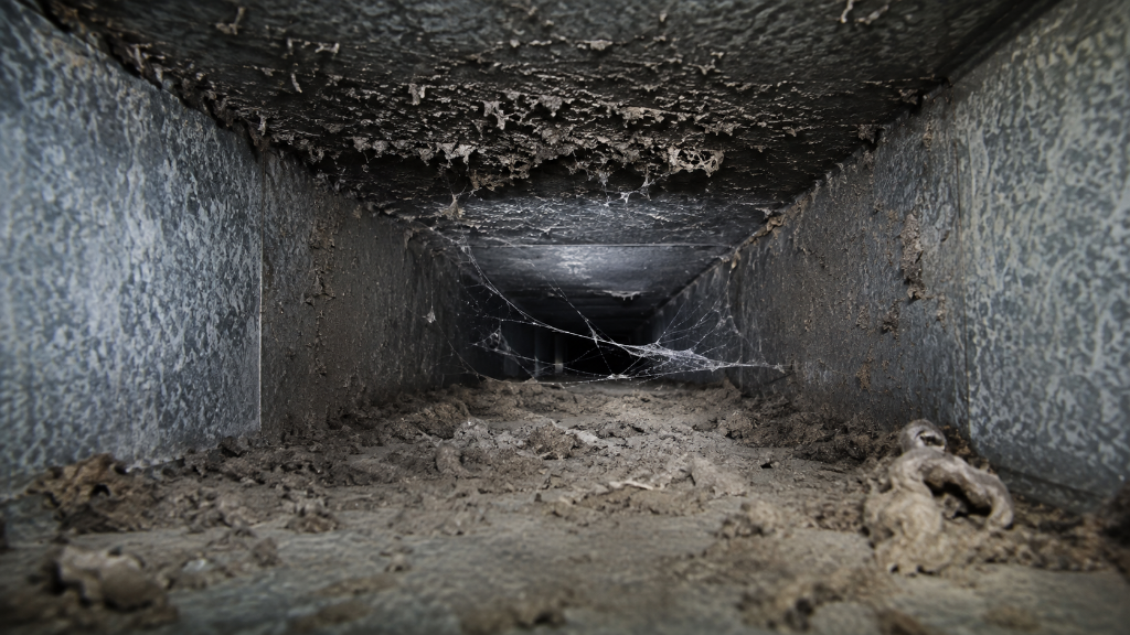 Air Duct Cleaning Before