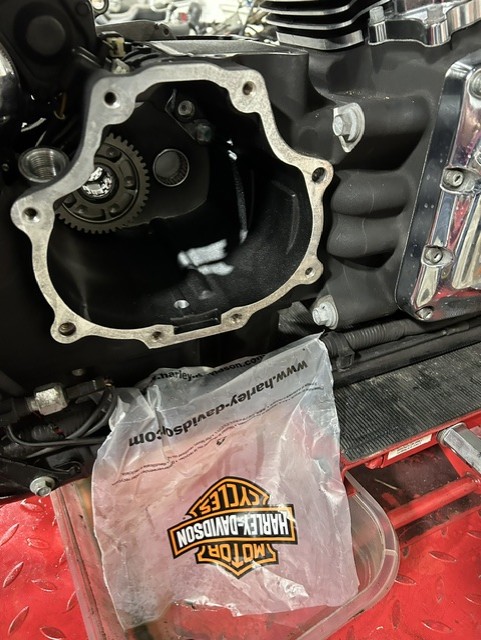 Trans Rebuild — Open