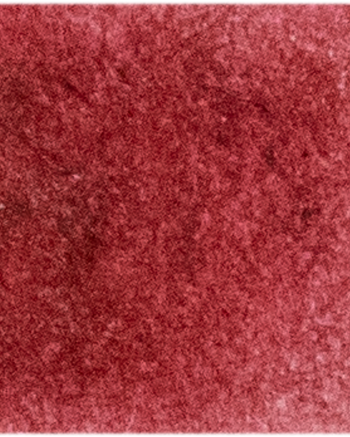 Alizarin Crimson - Michael Harding