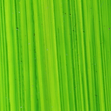 Bright Green Lake hand-painted swatch
