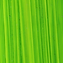 Bright Green Lake