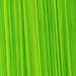 Bright Green Lake - Michael Harding