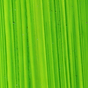 Bright Green Lake - Michael Harding