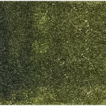 Olive Green - Michael Harding